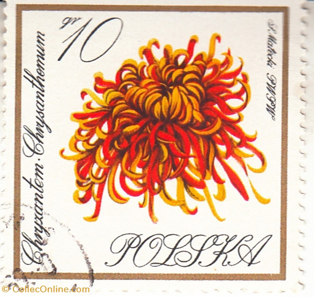 timbres 1966 circa polska chryzantem