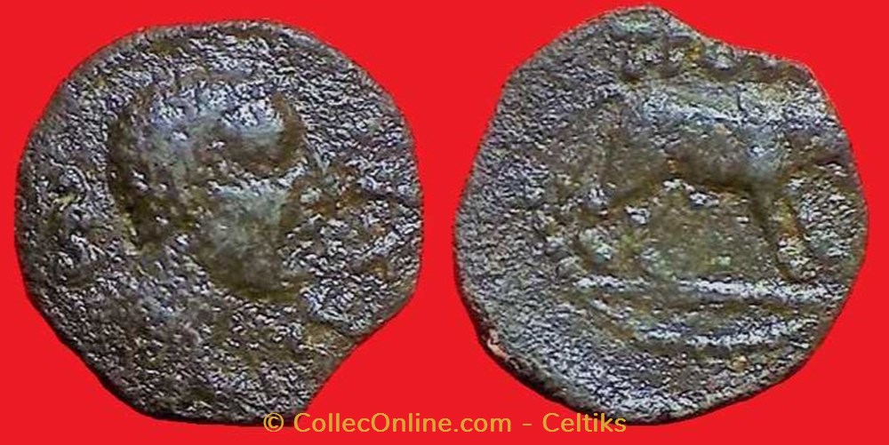 monnaies antiques celtes bronze au taureau sex t pom