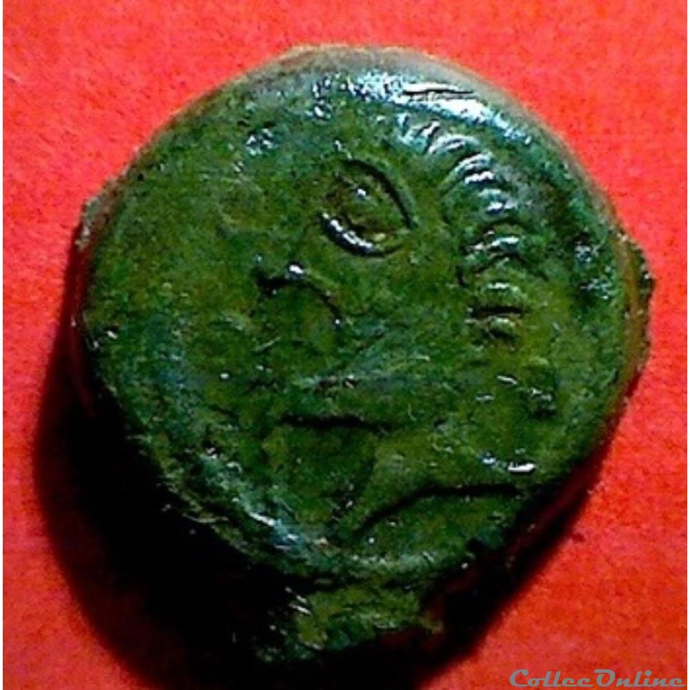 série 55 DT 505 var bronze VIIRICIVS monnaie antique gauloise serie 55 dt 505 var bronze viiricivs