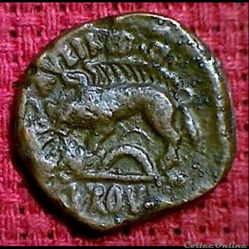 sanglier monnaie antique gauloise sanglier