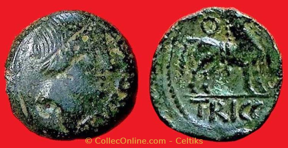 bronze TVRONOS / TRICCOS monnaies antiques a celtes bronze tvronos triccos