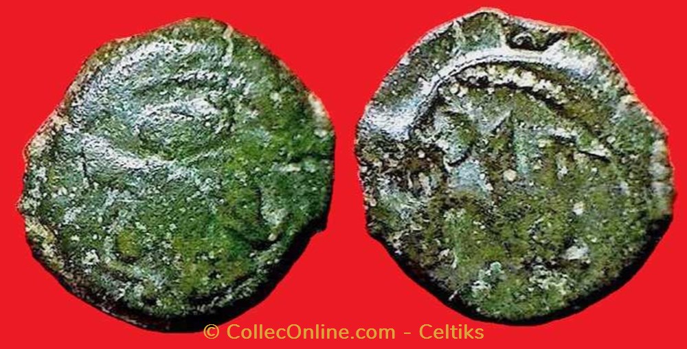 monnaies antiques celtes bronze au loup tete a gauche et au pegase