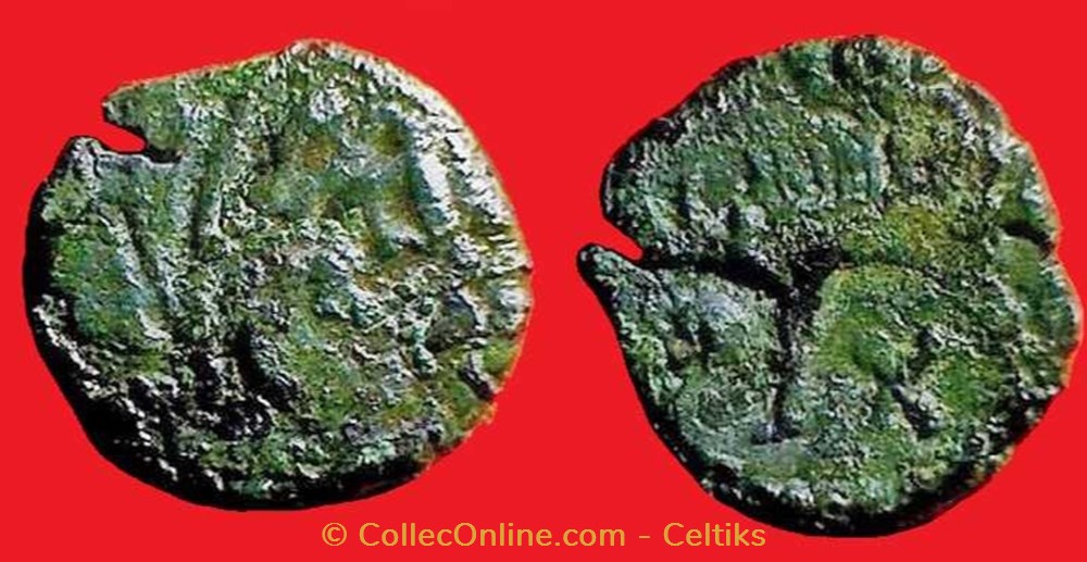 bronze au sanglier monnaies antiques celtes bronze au sanglier