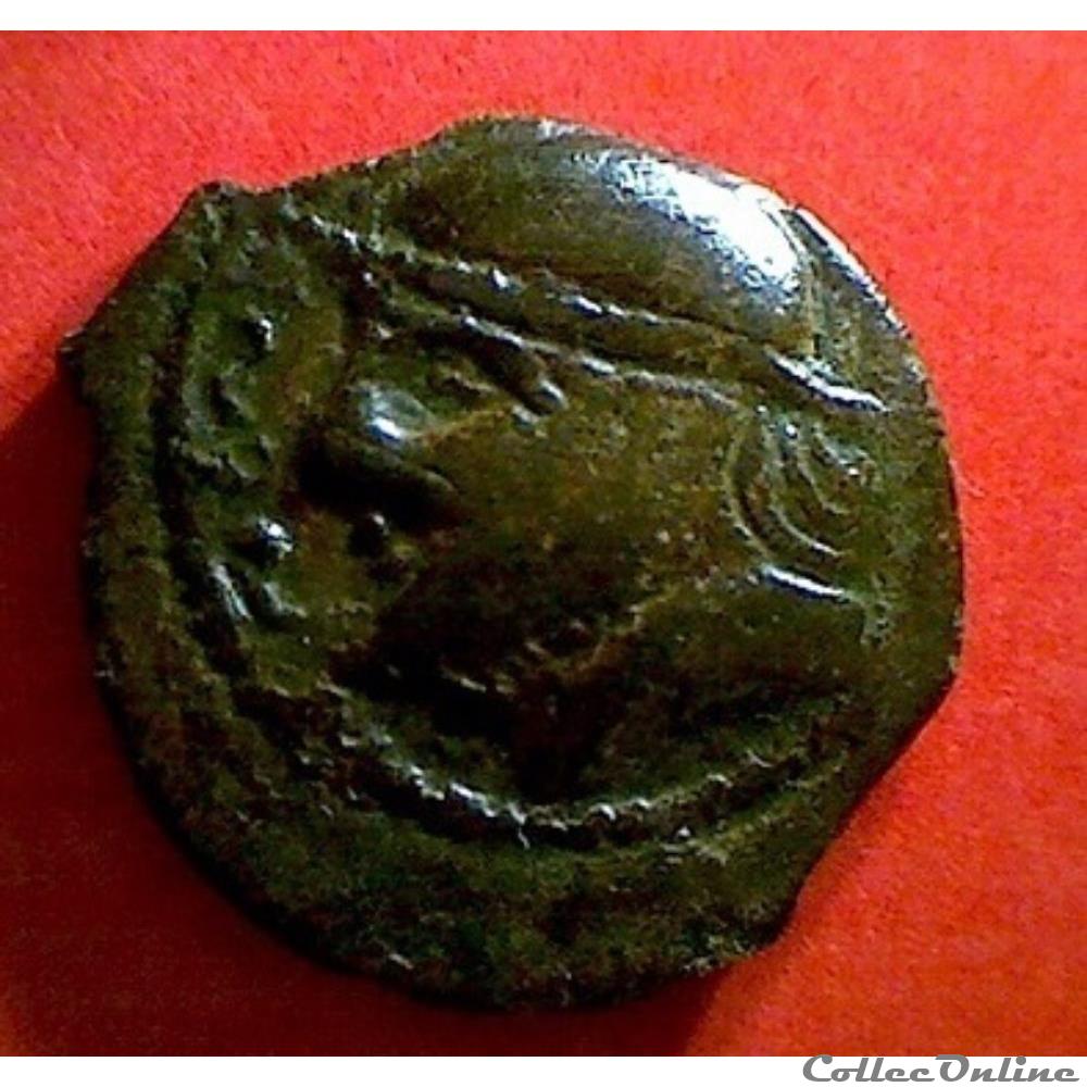 série 63 DT 556 bronze CRICIRV barbu aux S et annelet monnaie antique gauloise serie 63 dt 556 bronze cricirv barbu aux s et annelet