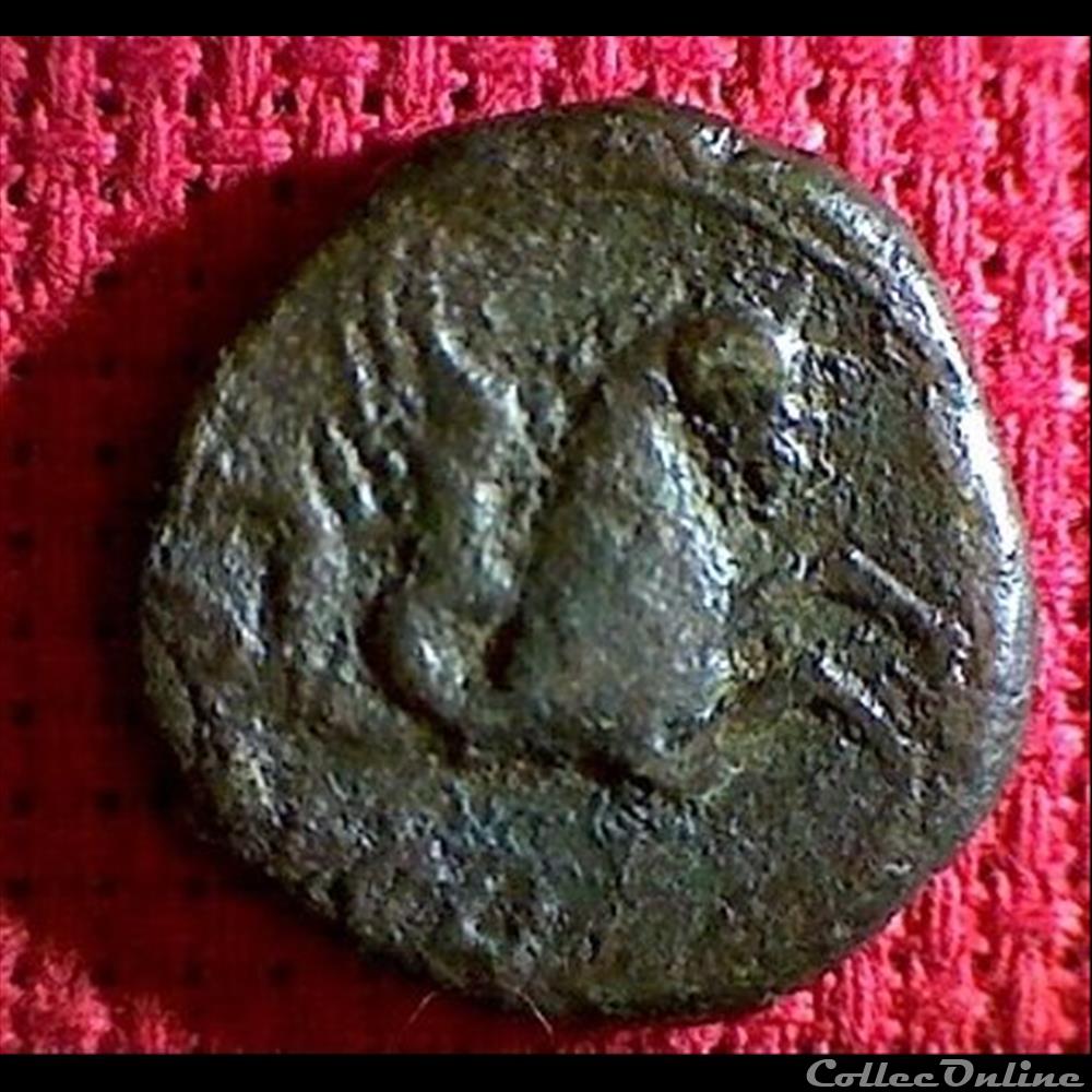 hippocampe monnaie antique gauloise hippocampe