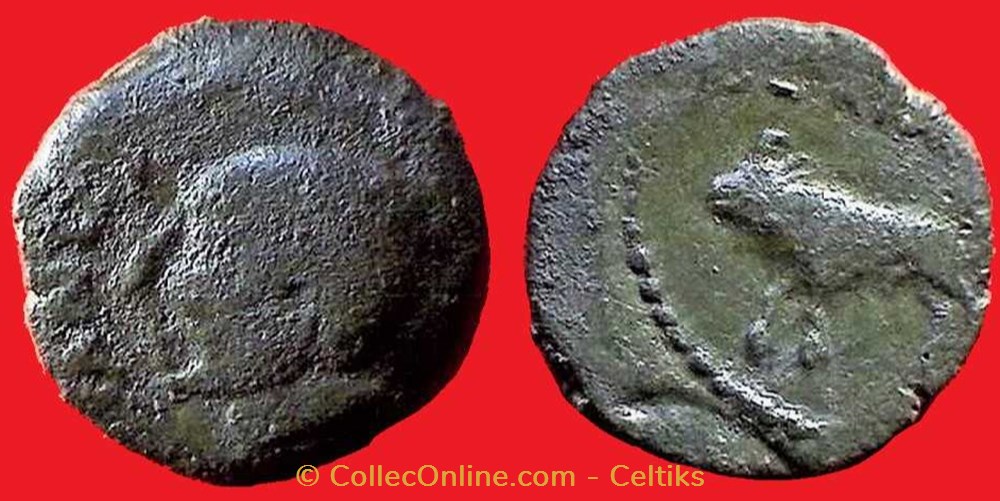 bronze TOGIANTOS / SLAMB monnaies antiques celtes bronze togiantos slamb