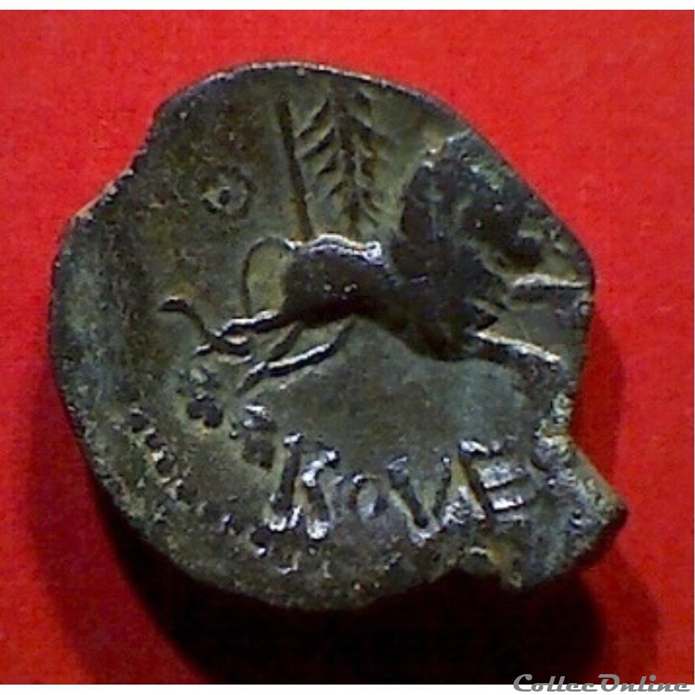 série 67 DT 582 bronze ROVECA au lion monnaie antique gauloise serie 67 dt 582 bronze roveca au lion