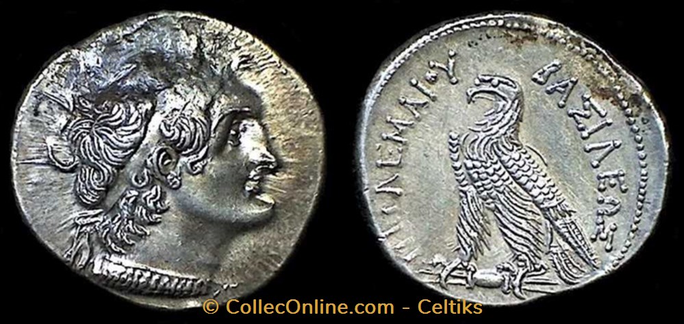 PTOLEME VI PHILOMETOR monnaies antiques a grecques ptoleme vi philometor