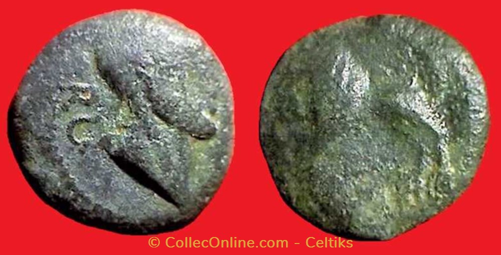 monnaies antiques celtes bronze au buste et au lion