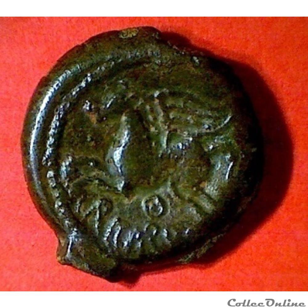 série 63 DT 556 bronze CRICIRV barbu aux S et annelet monnaie antique gauloise serie 63 dt 556 bronze cricirv barbu aux s et annelet