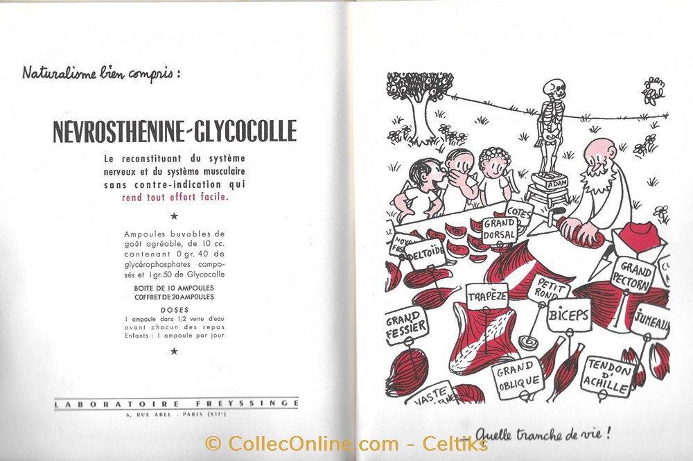 éditions LABO 1952 - JEAN EFFEL la création de l'homme 1er 5 science pharmacie editions labo 1952 jean effel la creation de homme 1er