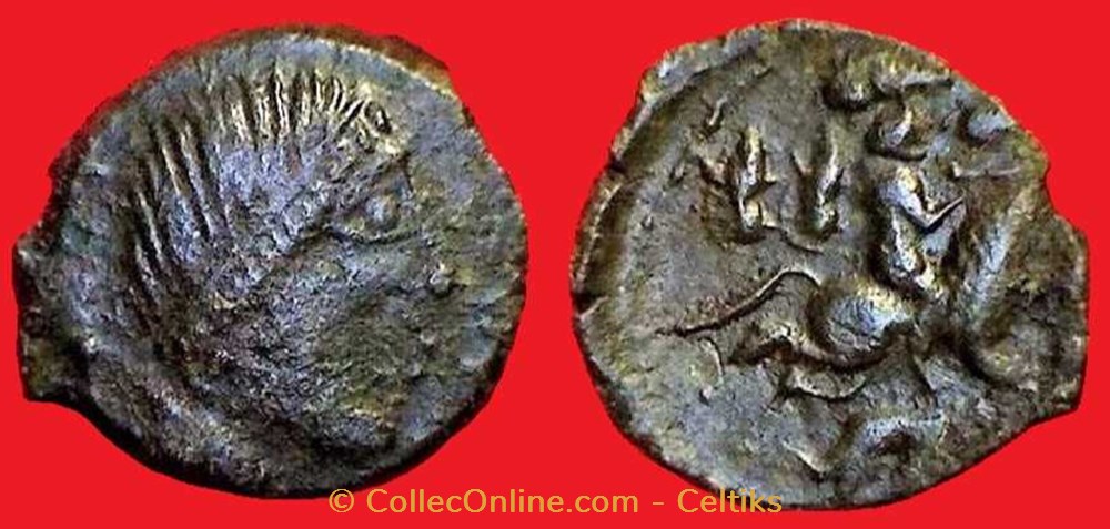 bronze CONNO EPILLOS / SEDVLLVS monnaies antiques a celtes bronze conno epillos sedvllvs