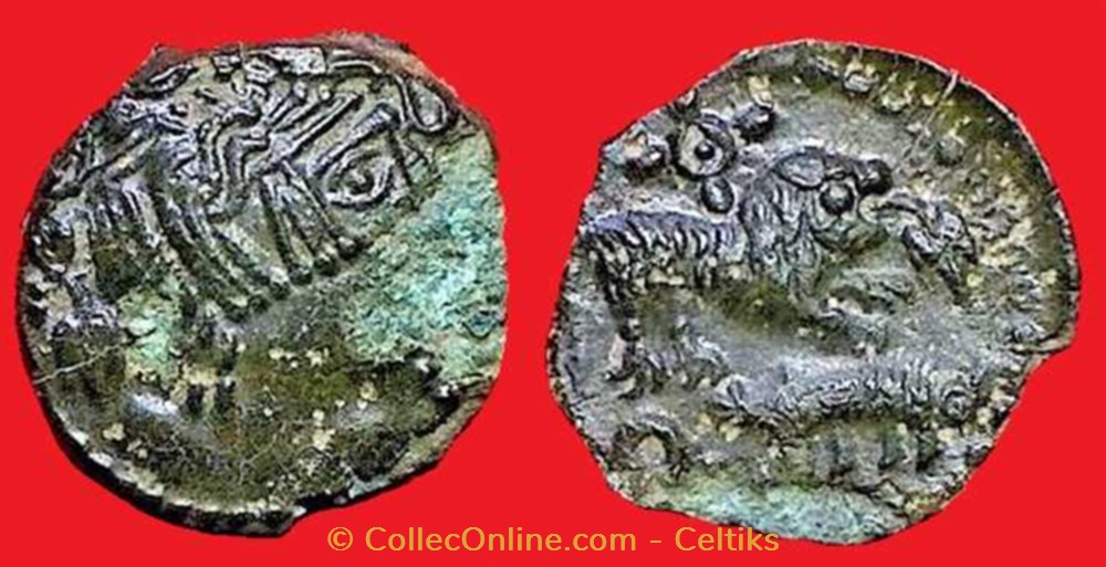 monnaies antiques celtes bronze catal au lion et au sanglier