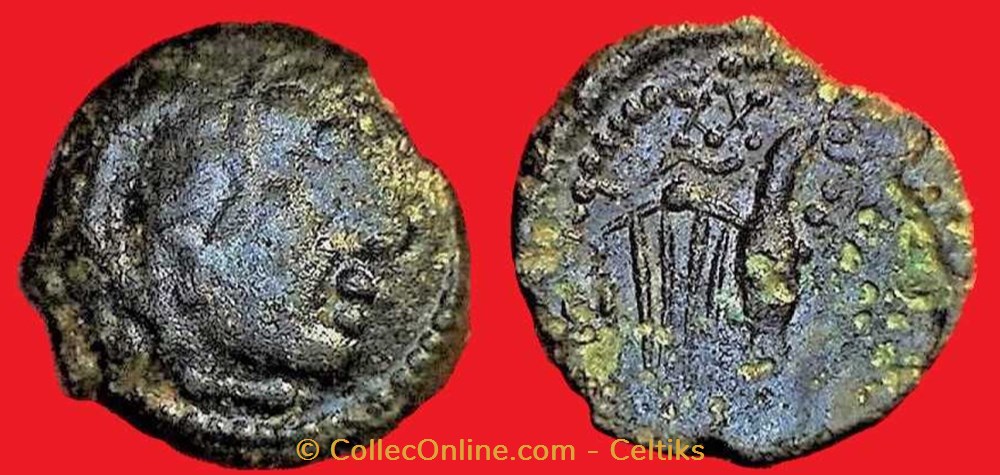 bronze à l'aigle et aux croix * monnaies antiques celtes bronze a aigle et aux croix