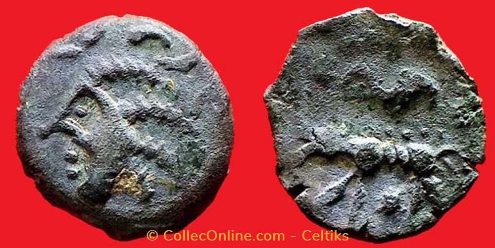 bronze au loup tête à gauche monnaies antiques celtes bronze au loup tete a gauche