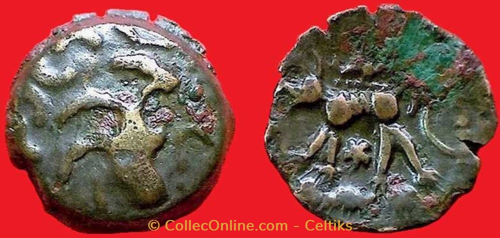 bronze au loup tête à droite monnaies antiques celtes bronze au loup tete a droite