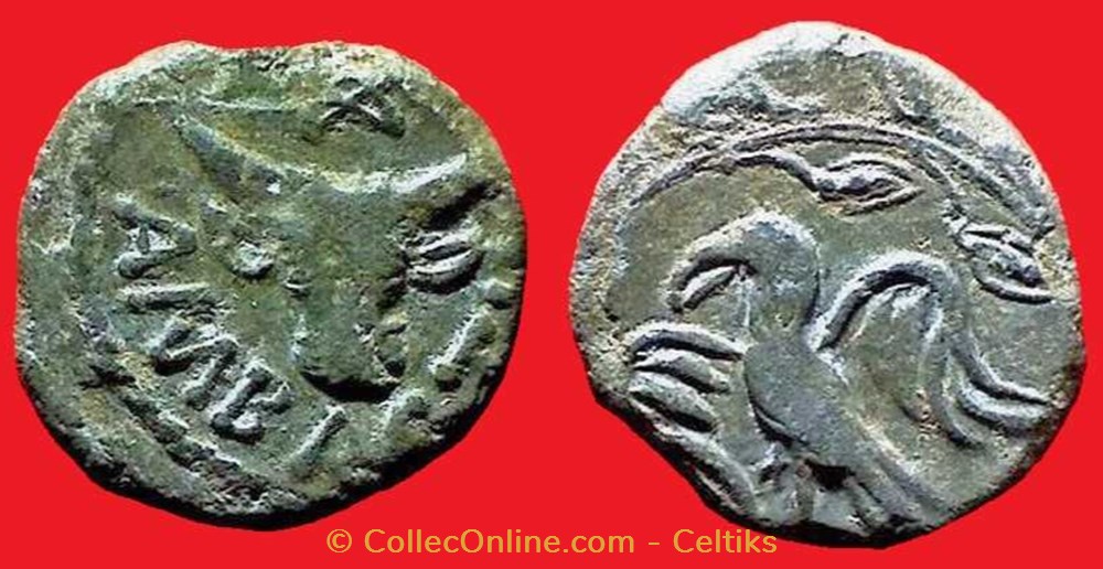 bronze AMBACTVS au bucrane et à l'aigle monnaies antiques celtes bronze ambactvs au bucrane et a aigle