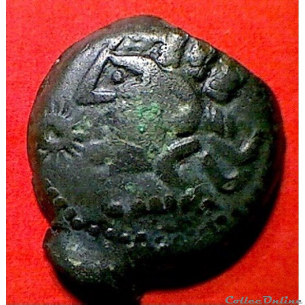 Série 445 DT 2455 bronze au cheval et au sanglier monnaie antique gauloise serie 445 dt 2455 bronze au cheval et au sanglier