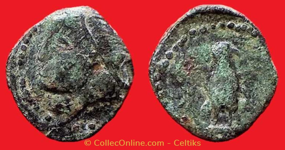 bronze à la tête casquée , à l'aigle de face monnaies antiques celtes bronze a la tete casquee a aigle de face