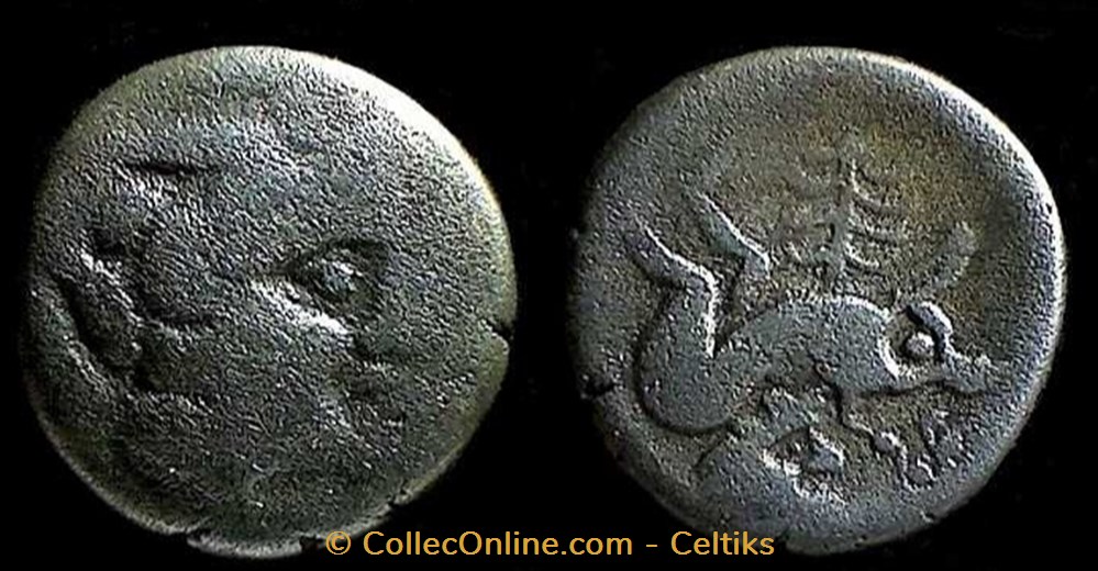 denier au sanglier monstrueux monnaies antiques celtes denier au sanglier monstrueux