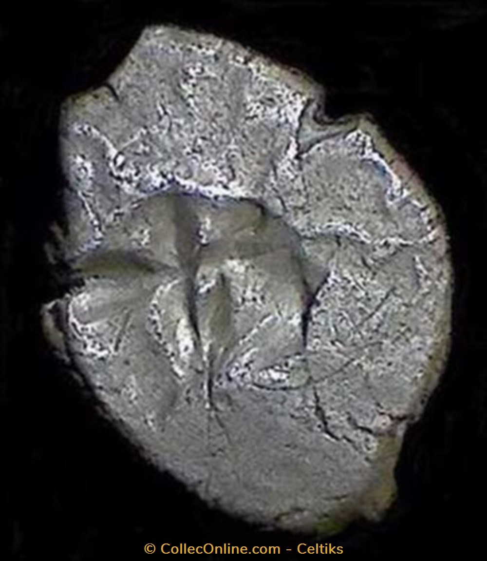 drachme à la tête bouclée du Causé monnaies antiques celtes drachme a la tete bouclee du cause