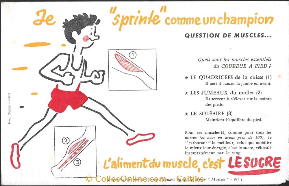 buvard - alimentation sucre objets publicitaires buvards buvard alimentation sucre