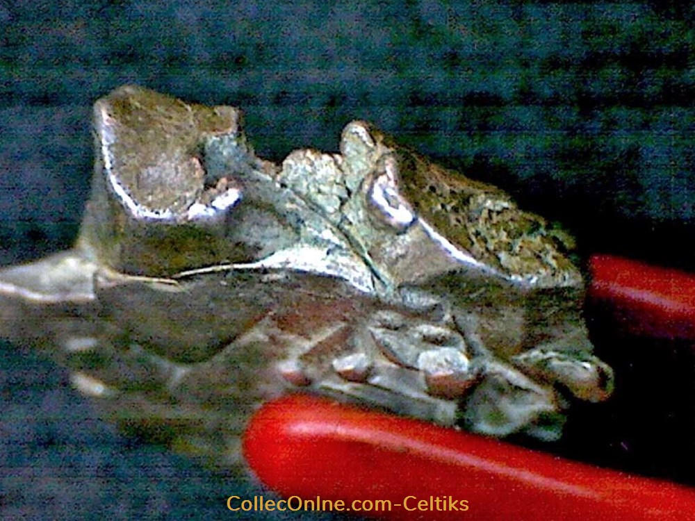 monnaies antiques celtes drachme a la tete triangulaire