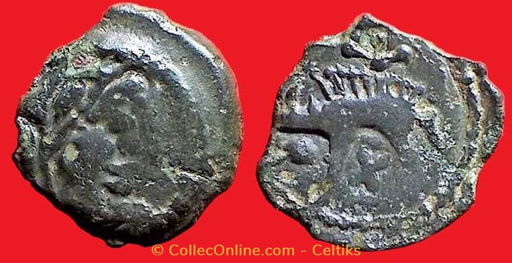 bronze au sanglier monnaies antiques celtes bronze au sanglier
