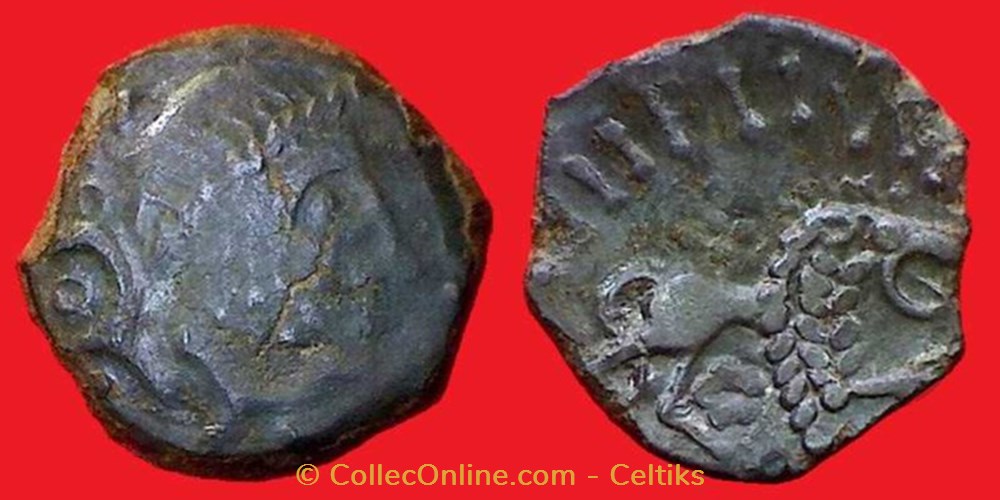 bronze CARCVS / A.HIR.IMP au lion monnaies antiques celtes bronze carcvs a hir imp au lion
