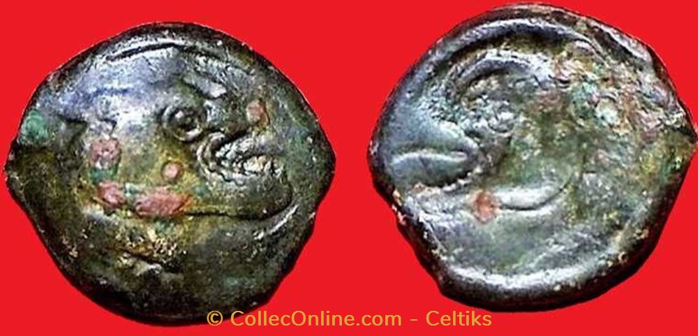 bronze au loup et au pégase monnaies antiques celtes bronze au loup et au pegase