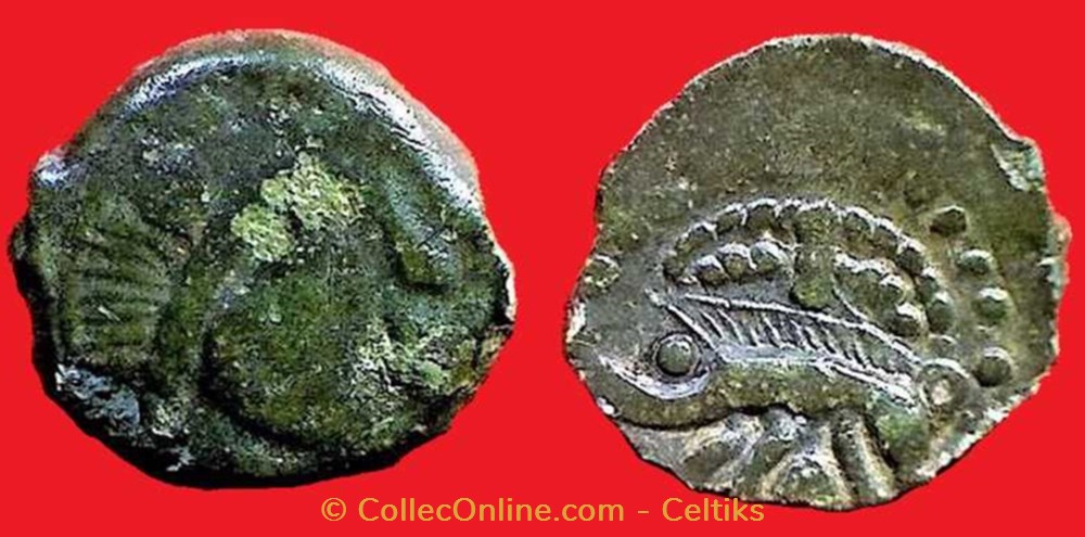 bronze au sanglier enseigne * monnaies antiques celtes bronze au sanglier enseigne