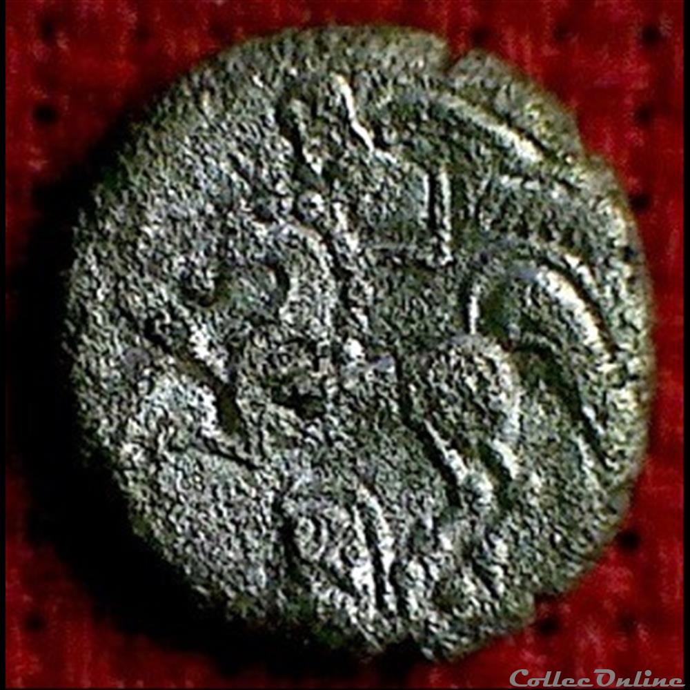 monnaie antique gauloise insecte