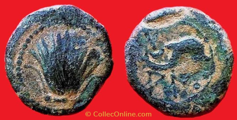 monnaies antiques celtes arse quadrans a la coquille et au dauphin