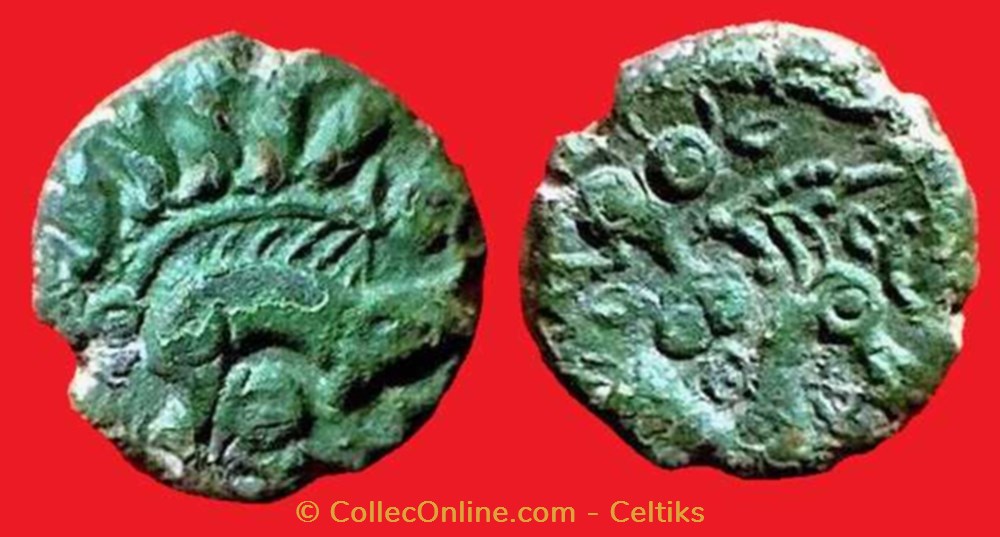 bronze au sanglier et au bucrane monnaies antiques celtes bronze au sanglier et au bucrane