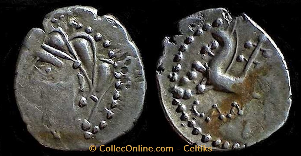 monnaies antiques celtes denier cam au rameau