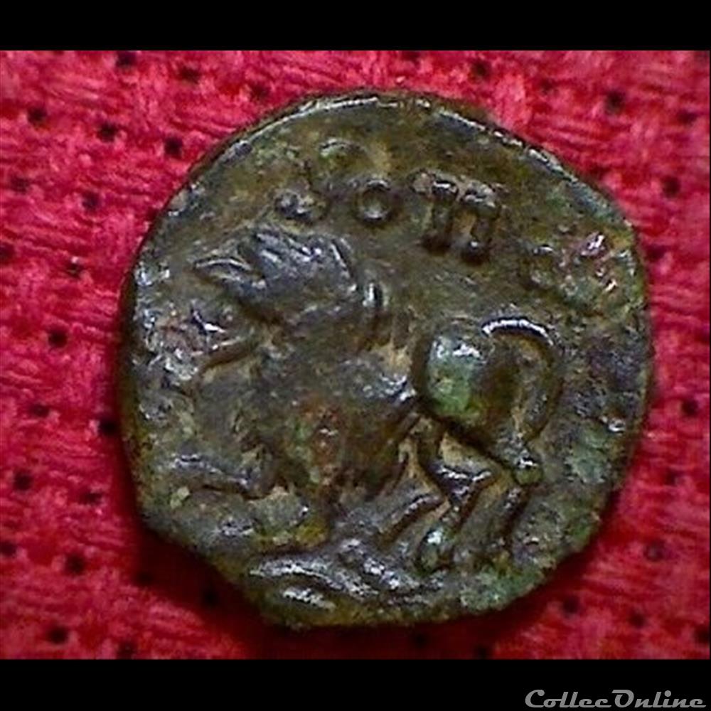 lion monnaie antique gauloise lion