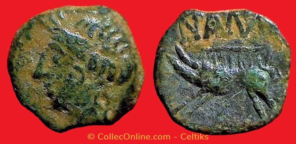 bronze au sanglier monnaies antiques celtes bronze au sanglier
