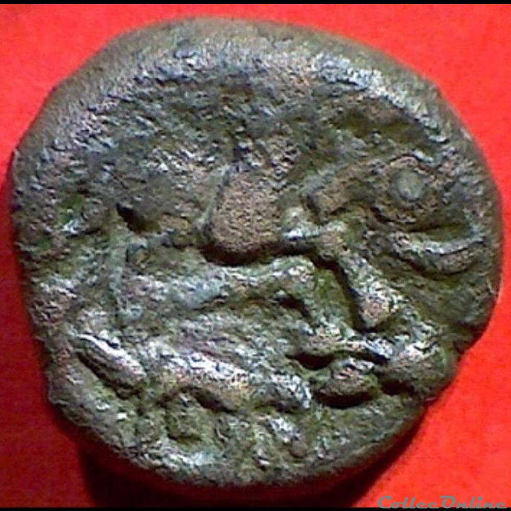serie 344 DT 2263 statère au cheval et au sanglier monnaie antique gauloise serie 344 dt 2263 statere au cheval et au sanglier