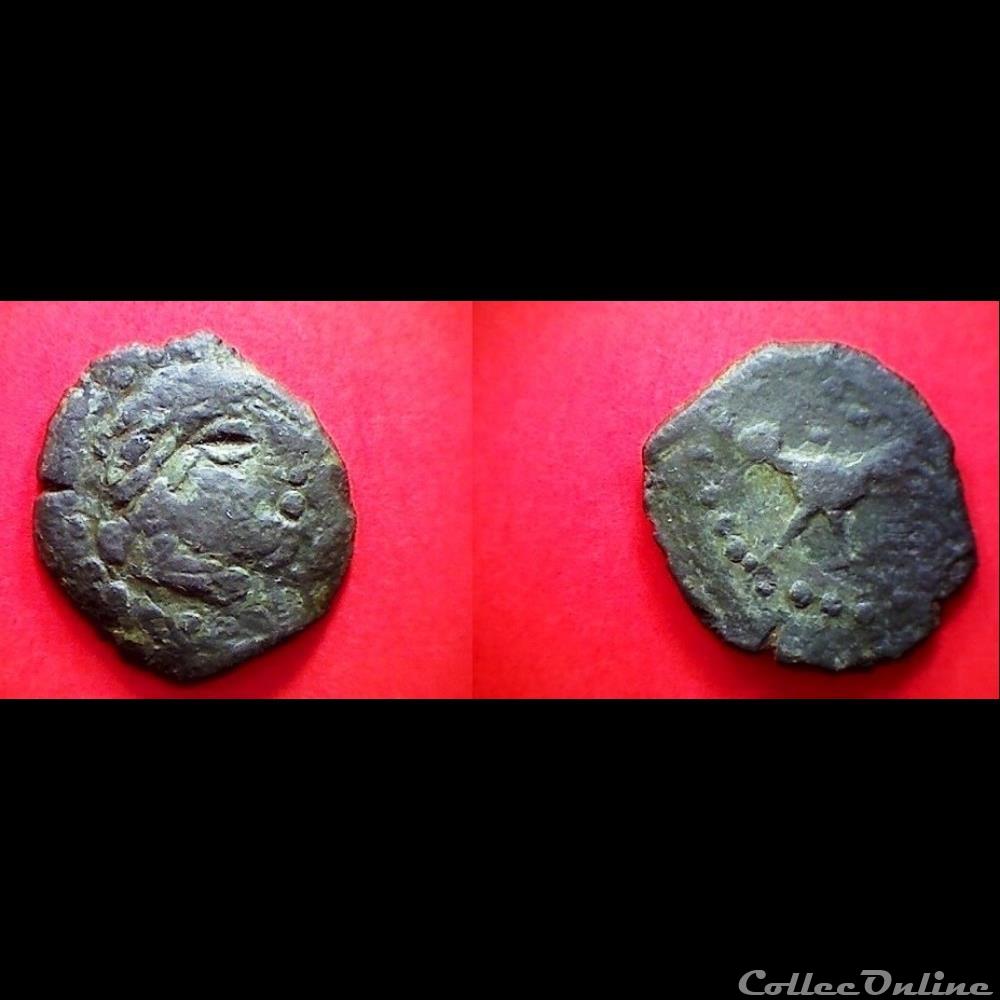 bronze à l'oiseau à gauche 5a monnaie antique gauloise bronze a oiseau a gauche 5a