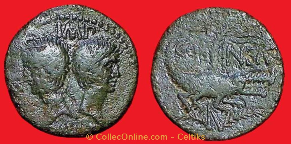 colonie de NIMES - type 1 monnaies antiques a celtes colonie de nimes type 1