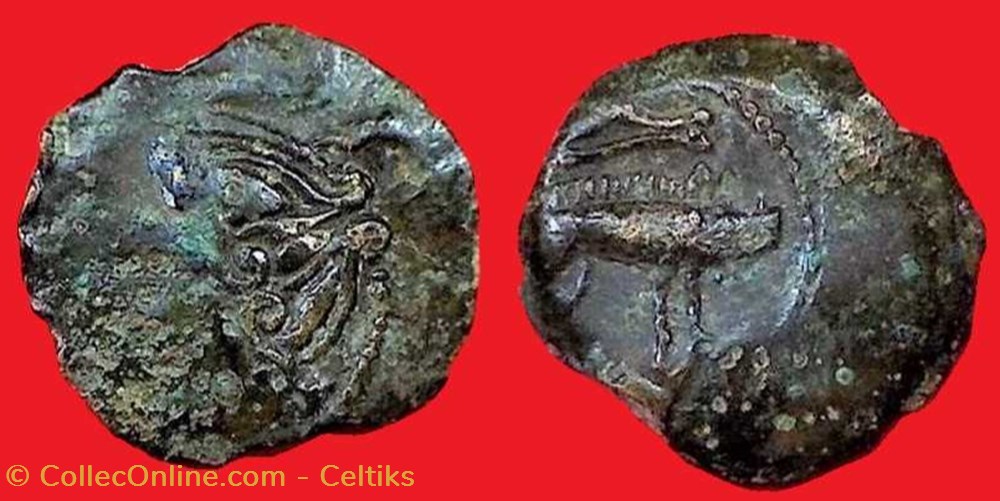 bronze au sanglier et à la fibule * monnaies antiques celtes bronze au sanglier et a la fibule