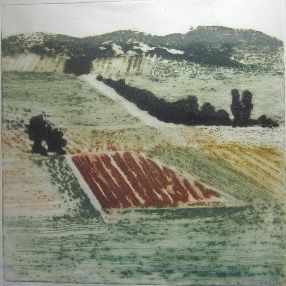 BOUYER CAROLINE -- VIGNOBLE EN QUERCY -- art antiquite estampe gravure bouyer caroline vignoble en quercy