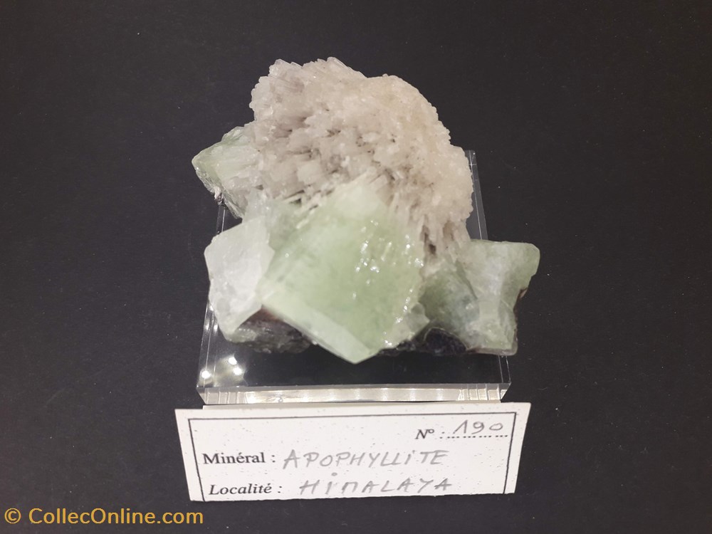 APOPHYLLITE de l'Hymalaya mineraux meteorites apophyllite de hymalaya