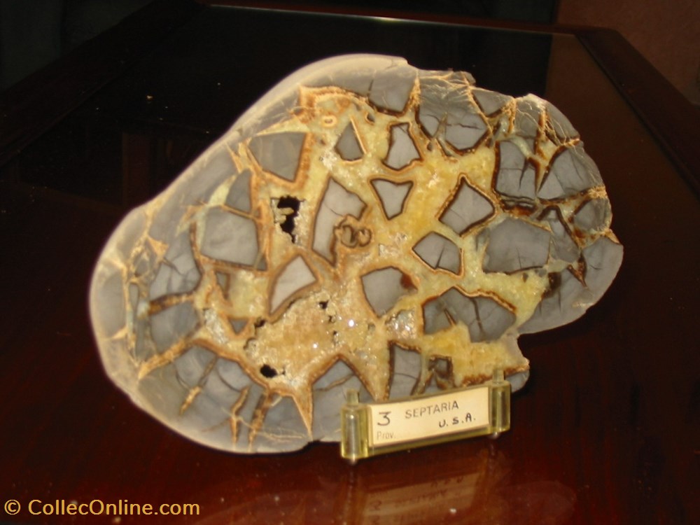 SEPTARIA U.S.A. mineraux meteorites septaria u s a