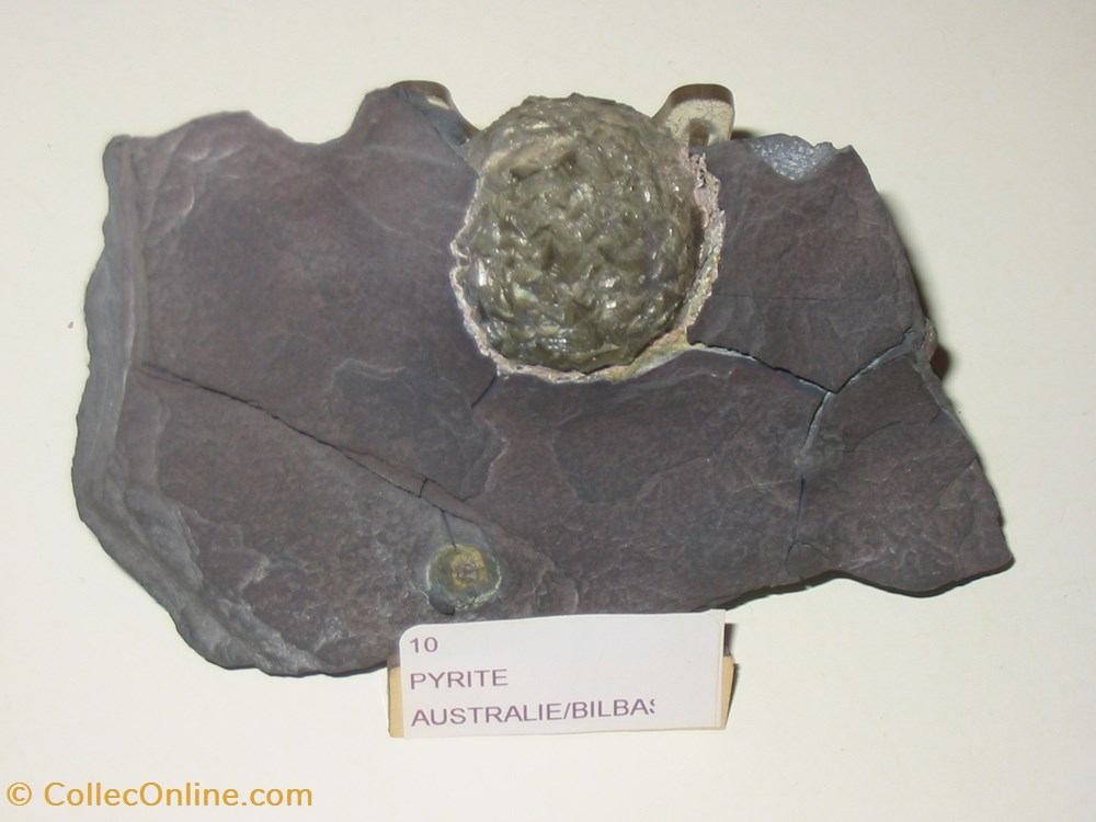 PYRITE sur ardoise Bilbassa mineraux meteorites pyrite sur ardoise bilbassa