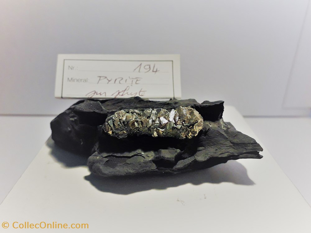 mineraux meteorites pyrite sur schiste