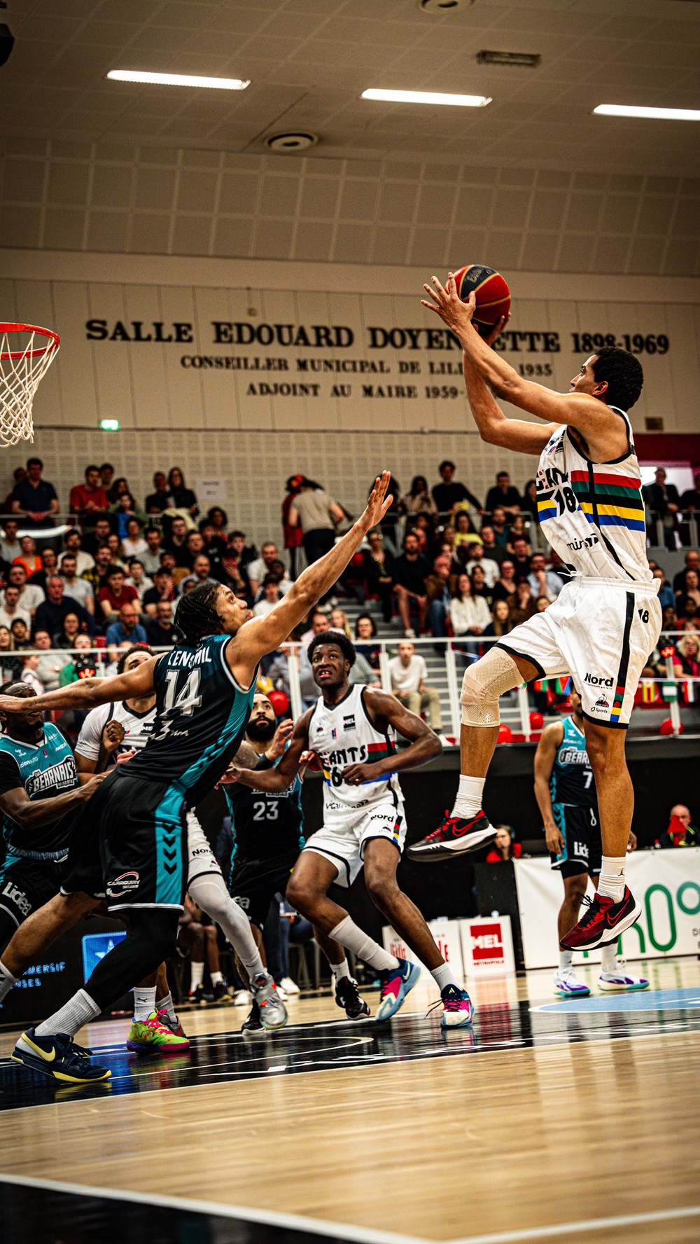 basket