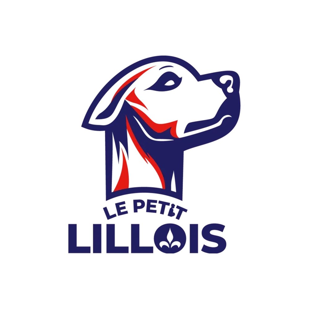 Le petit Lillois le petit lillois