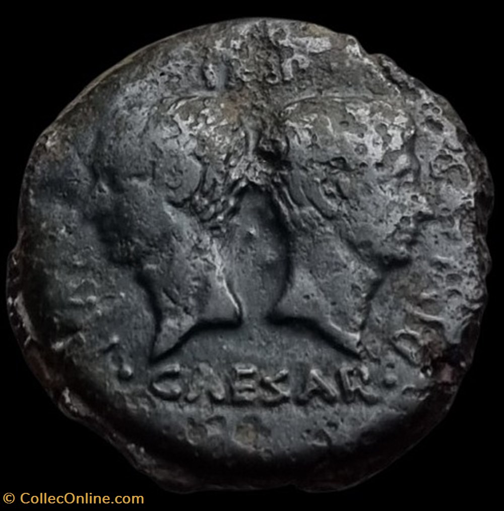 Dupondius de Vienne monnaies antiques a romaines imperiales et republicaines dupondius de vienne
