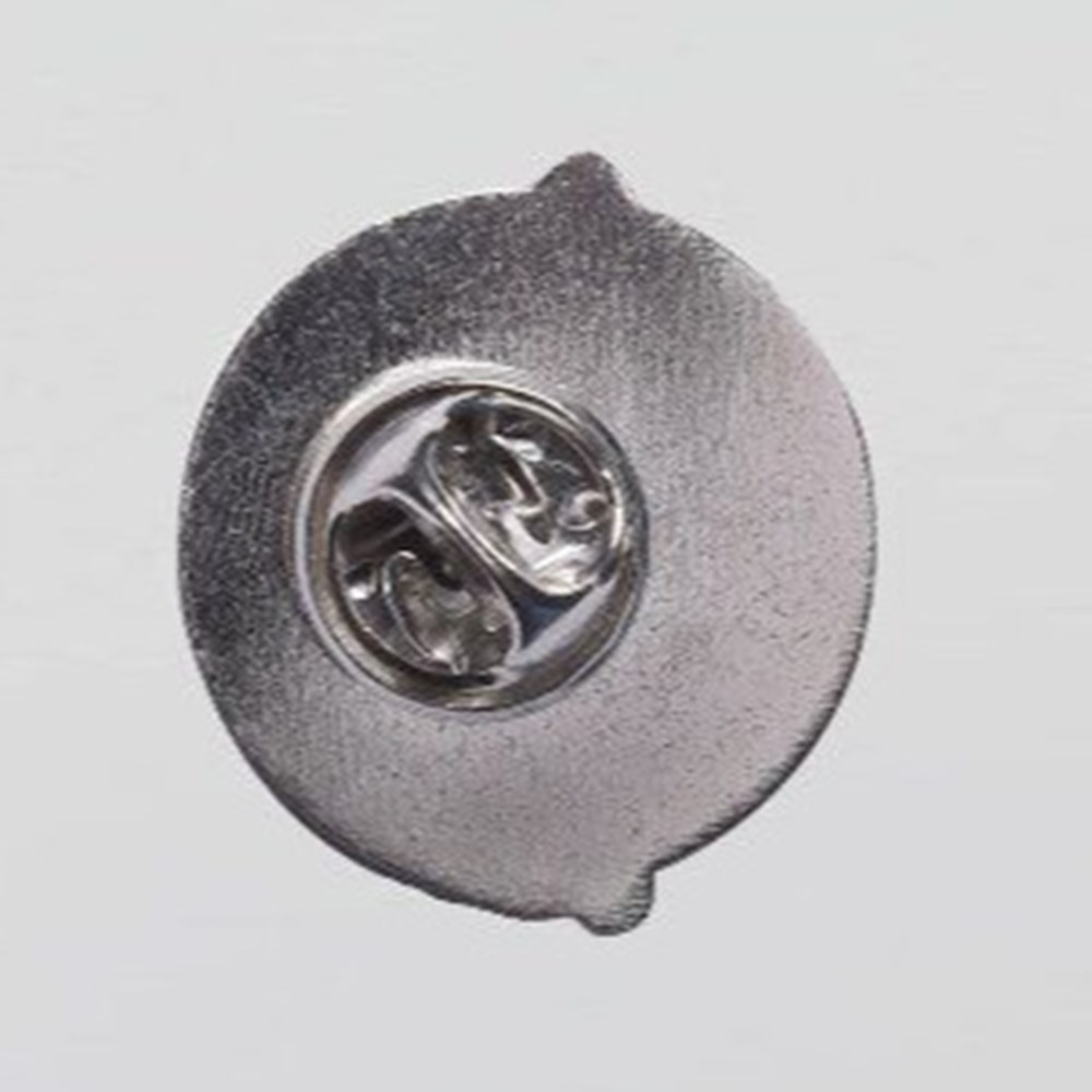 Pin's ESA Vega divers badges pin s esa vega